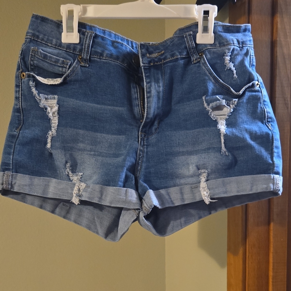 Source Unknown Blue Distressed Jean Shorts